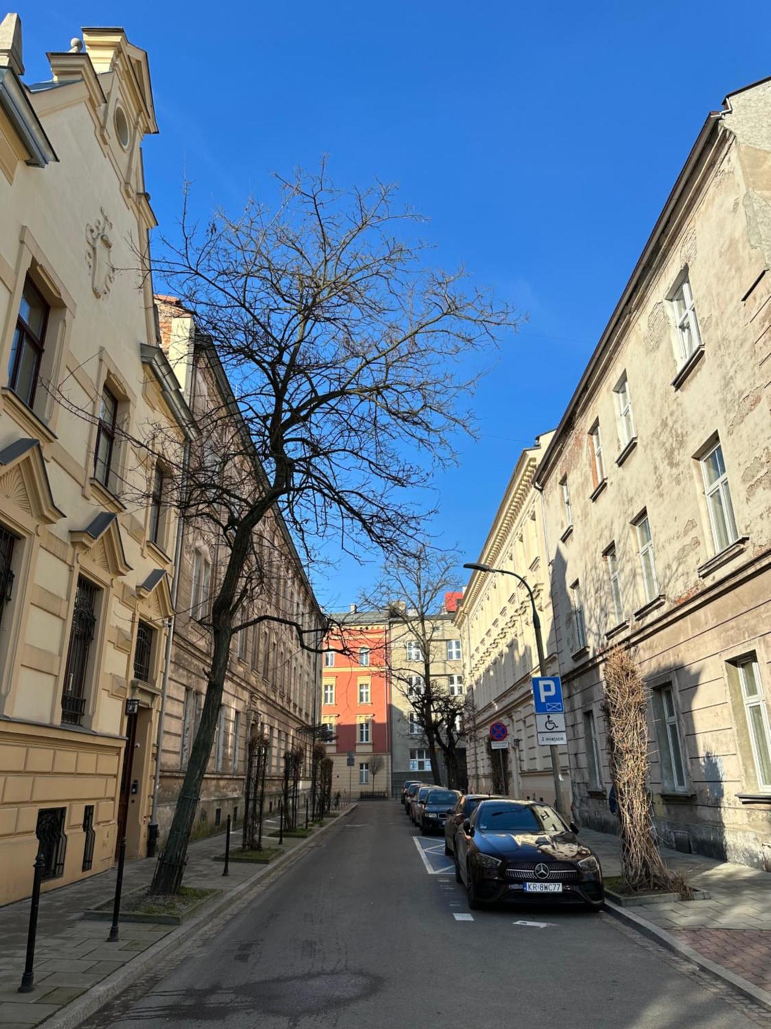 Apartment Perfect Place To In Center 36m2 W3
